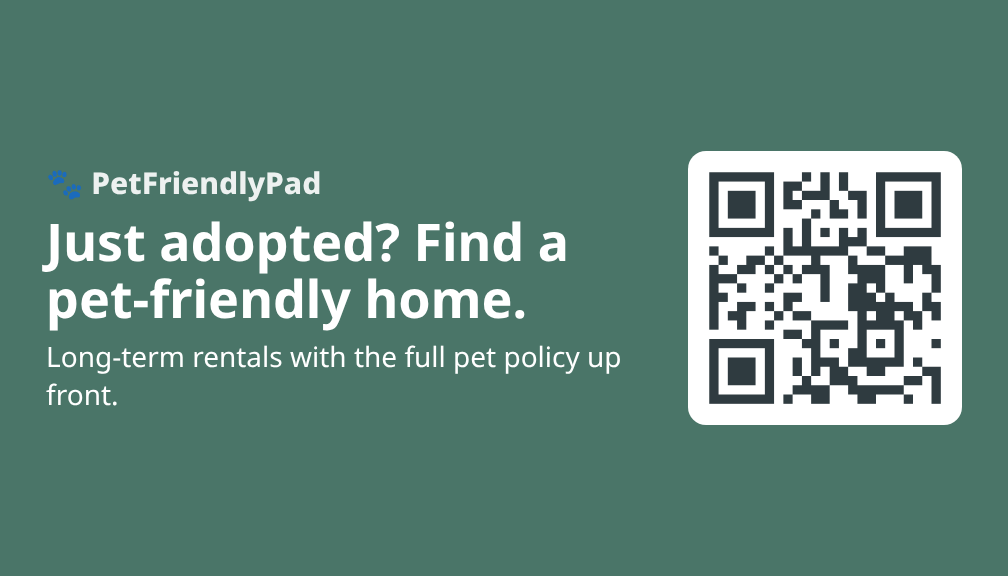 Business-card size adopter card